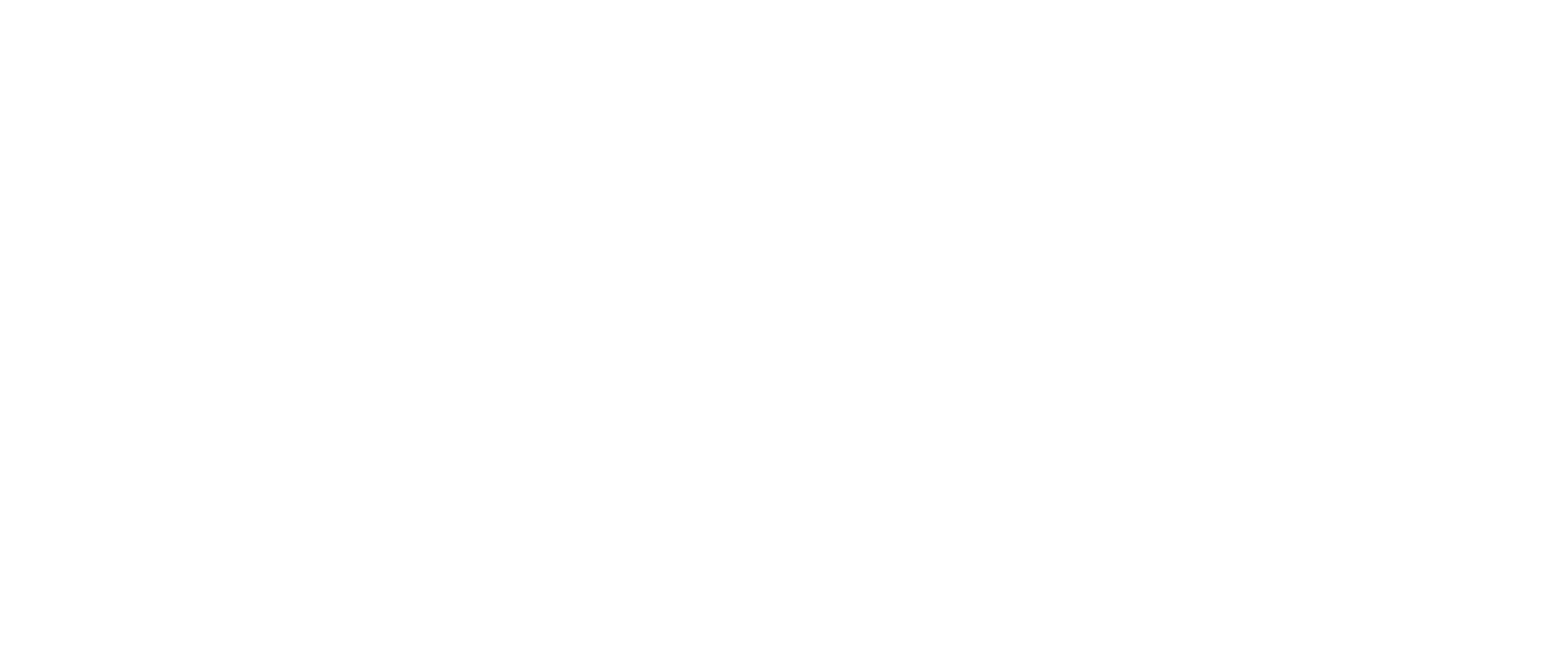 Wise Parking