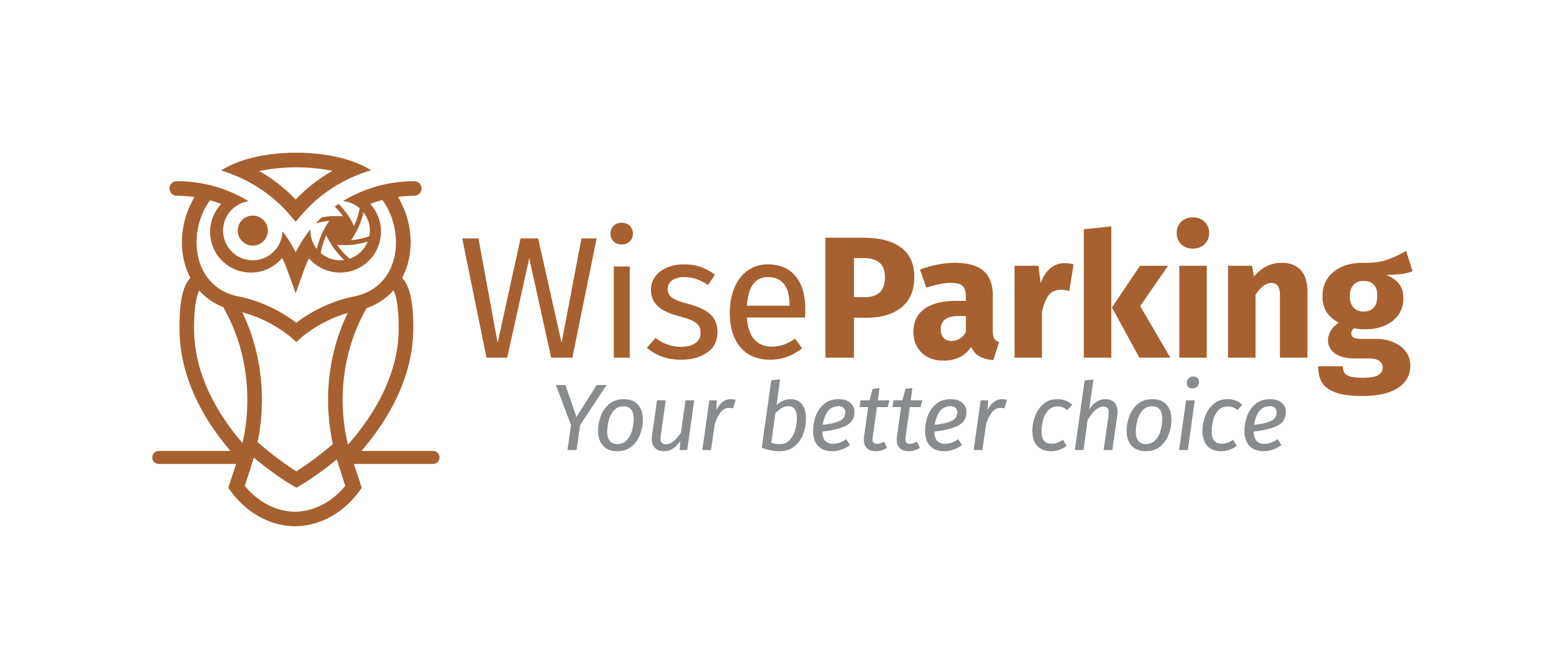 Wise Parking 